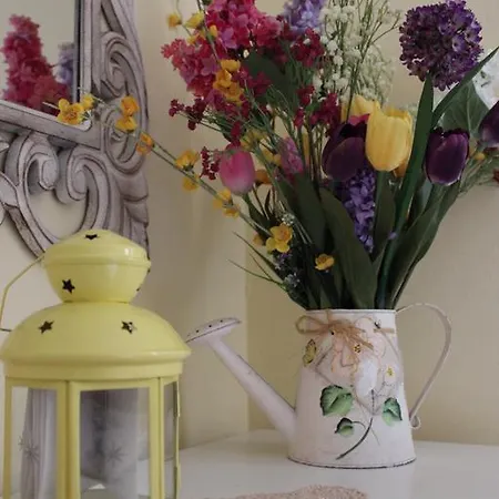 Holiday Listesi Dom wakacyjny Trogir