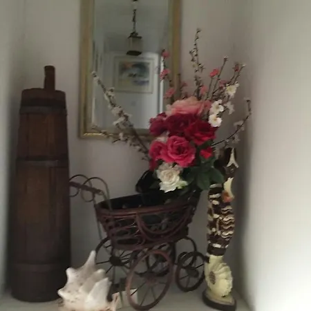 Holiday Listesi Trogir